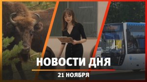 Новости Уфы и Башкирии 21.11.25: приговор бывшему вице-премьеру, алкогольные магазины и психолог