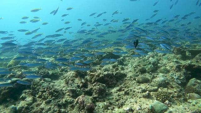 Всё можно изменить к лучшему...