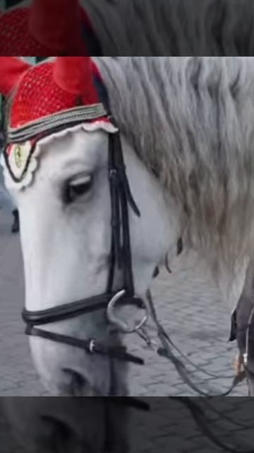 Дивный сон. (слова Александр Силаев) смотреть онлайн