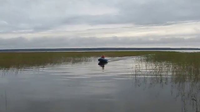 RAPID-320  под 3,5 ++