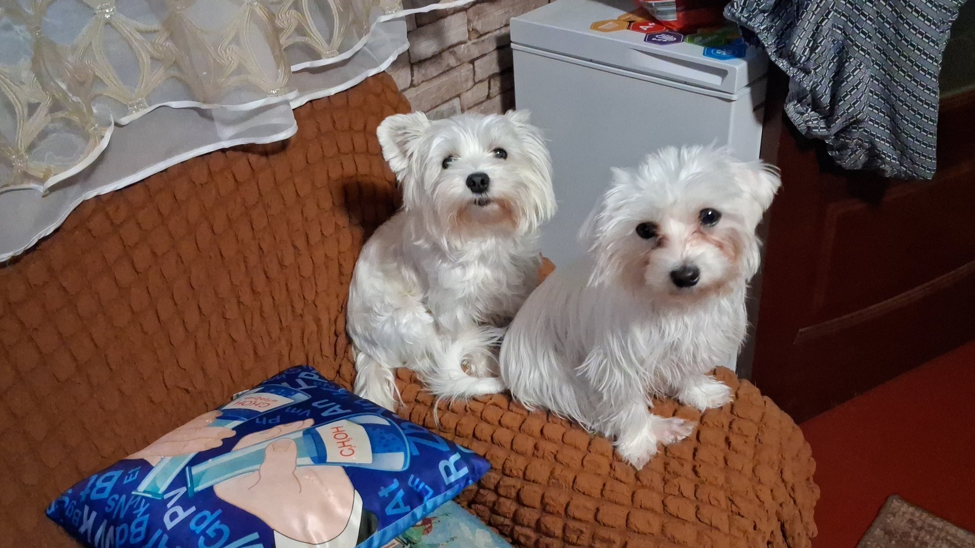 К зимовке готовы!!! смотреть онлайн