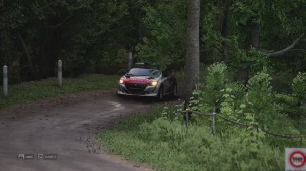 Assetto Corsa Rally выполнил эвент на золото асфальт на PEUGEOT