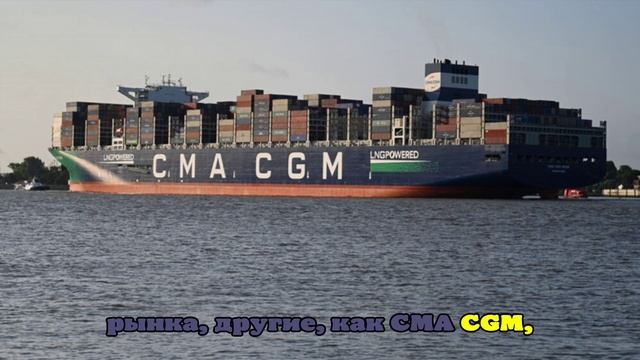 Французский оператор CMA CGM возобновил поставки в Россию спустя три года