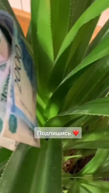 Где спрятать деньги смотреть онлайн