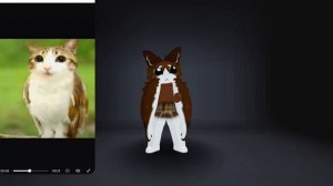 миол танцует😺🐦