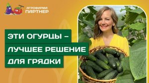 ПЯТЁРКА ПОБЕДИТЕЛЕЙ ЛЕТА 2025 🏆