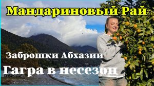Абхазия в несезон. Гуляем по Гагре.  Пробуем плоды пальмы. Абхазия 2025