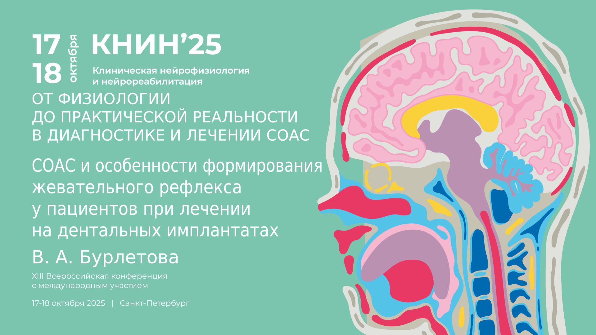 СОАС и особенности формирования жевательного рефлекса. Бурлетова В. А.