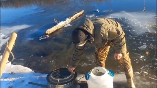 Хранение, перевозка живца к месту ловли хищника. Зея. Амурская область смотреть онлайн