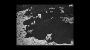 Видеолекция Лукаш А.И. Методы борьбы с фальсификацией истории Как распознать фейки