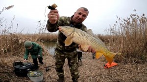Рыбалка в конце ноября с берега. Карась и сазан. Красивые места. Астраханская область. Бирючья Коса.