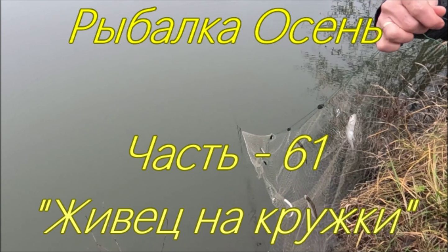 Рыбалка Осень. Часть - 61. 