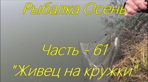 Рыбалка Осень. Часть - 61. "Живец на кружки".