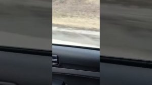 еду  на  святой  источник