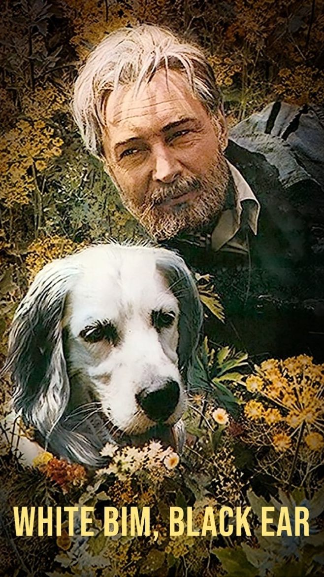 По местам съемок фильма "Белый Бим Чёрное ухо" | Полная версия на канале (4) смотреть онлайн