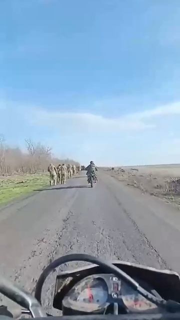 стадо пленных свиней с пастухами на мопедах смотреть онлайн
