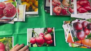 Определилась с томатами на сезон 2026 для закрытого грунта. Часть 1.