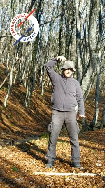 Суставная гимнастика Тренировка в лесу. #здоровыйобразжизни