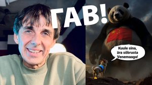 Стих 292. Гав! (Мы Китай поставим на колени)