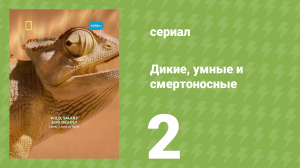 Дикие, умные и смертоносные 1 сезон 2 серия (документальный сериал, 2024)