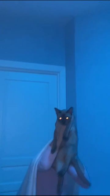 1 серия 1 сезон