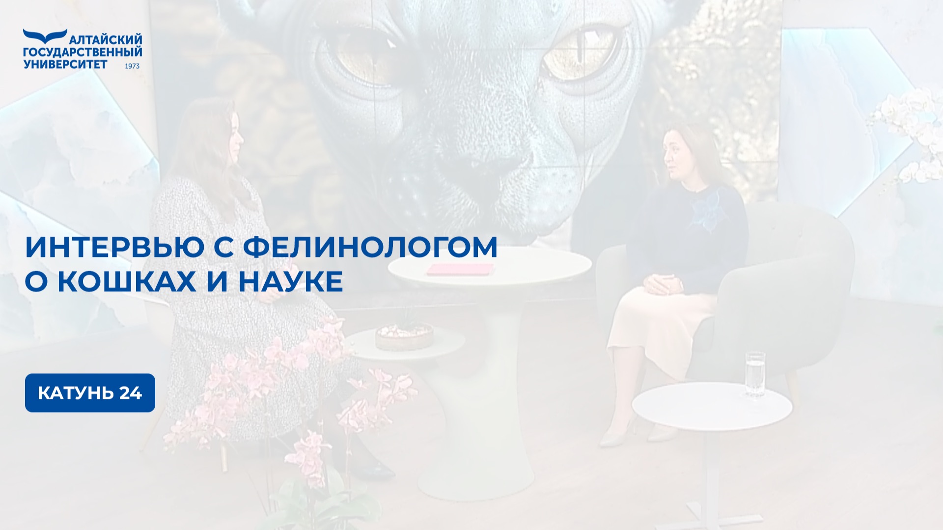 Интервью с фелинологом о кошках и науке | Катунь 24 смотреть онлайн