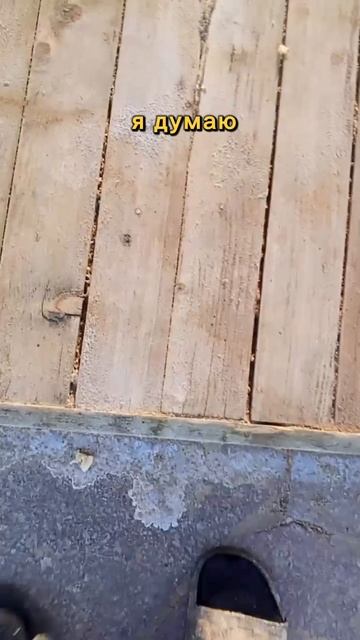 Как отчистить старый деревянный пол