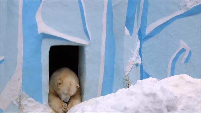 Наступили холода и у Кая игры закончились 19.11.2025 смотреть онлайн