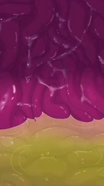 Miside vore Kind Mita vore audio смотреть онлайн