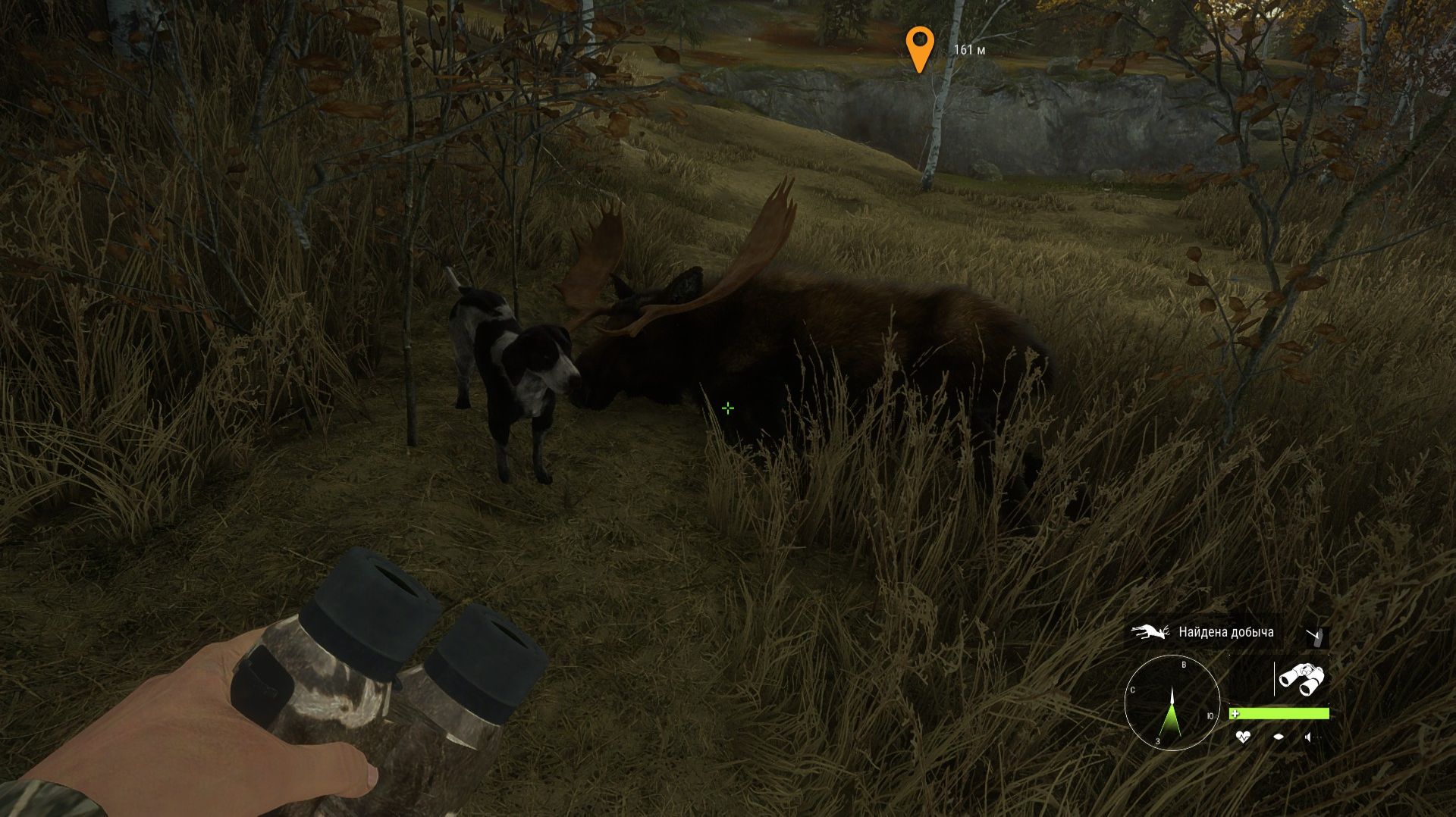 theHunter- Call of the Wild™ - 2025-11-21 17-39-44