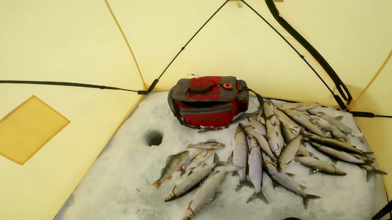 Рыбалка у чёрной дыры. Восьмая серия. смотреть онлайн