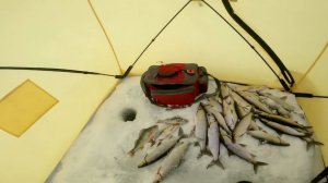 Рыбалка у чёрной дыры. Восьмая серия.