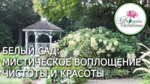 БЕЛЫЙ САД. МИСТИЧЕСКОЕ ВОПЛОЩЕНИЕ ЧИСТОТЫ И КРАСОТЫ