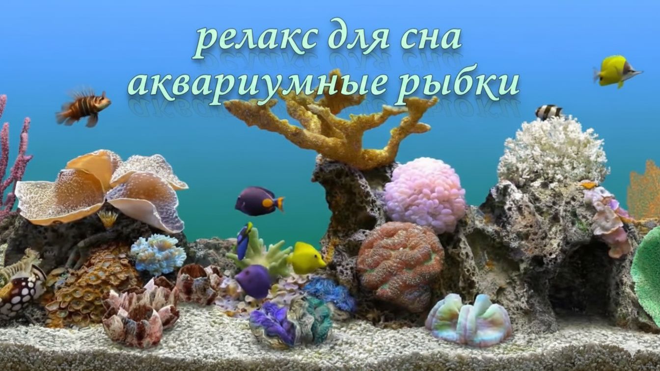 Релакс для сна : аквариум с рыбками и красивая спокойная музыка для души смотреть онлайн