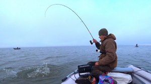 РЫБАЛКА НЕ ДЛЯ СЛАБОНЕРВНЫХ!!!! ЖОР КРУПНОГО СУДАКА НА СПИННИНГ ОСЕНЬЮ