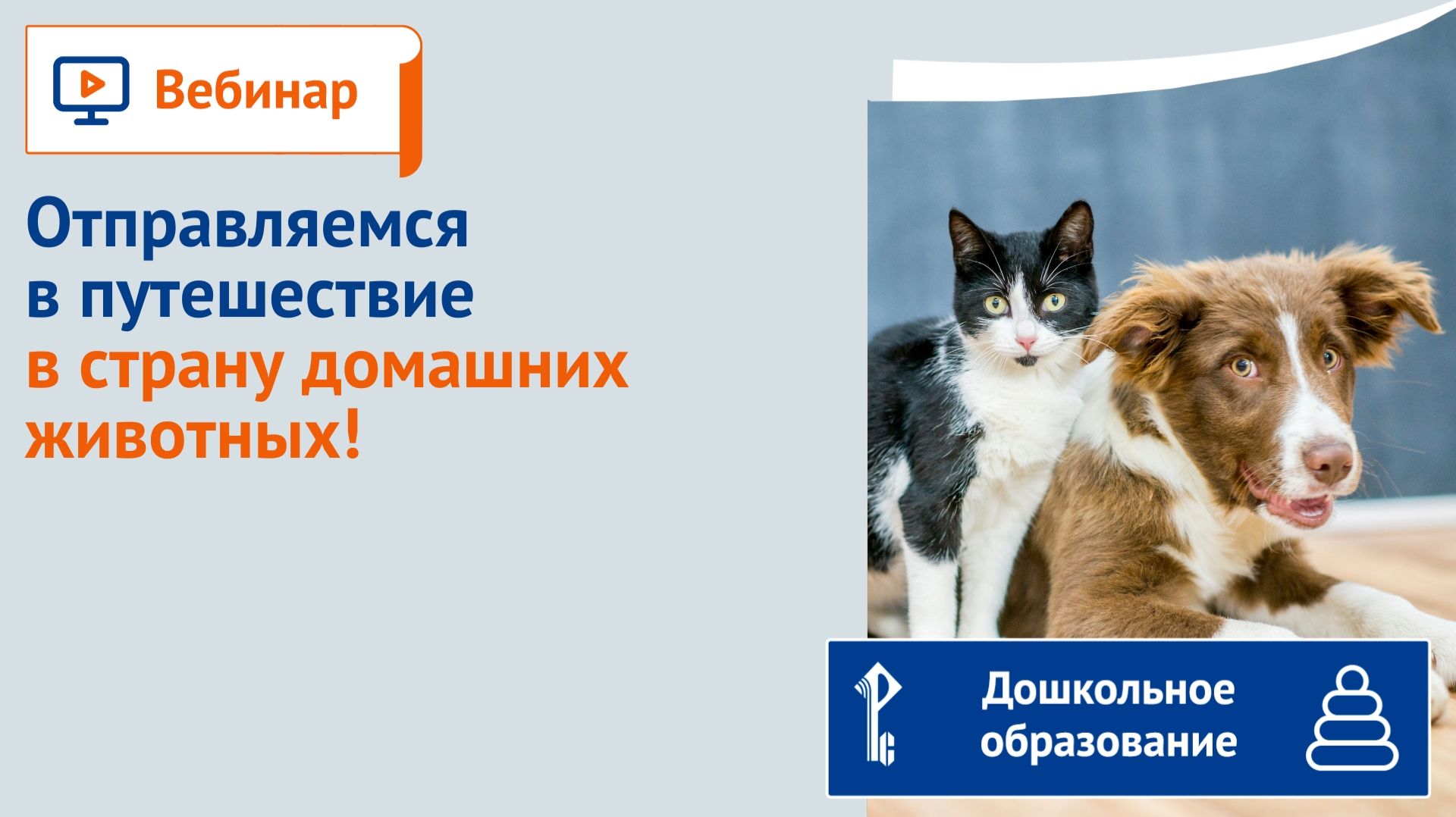 Отправляемся в путешествие в страну домашних животных! смотреть онлайн