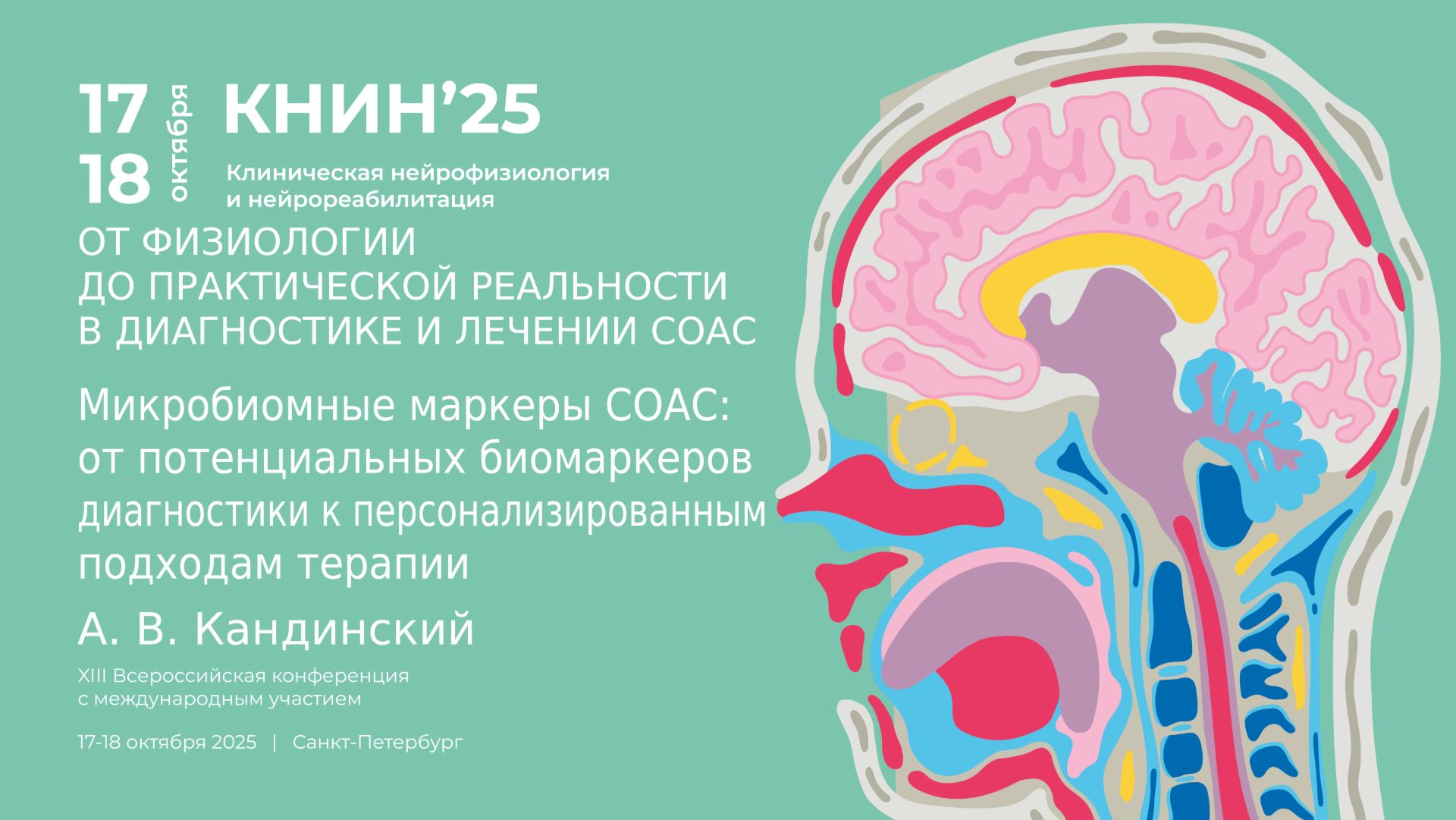 Микробиомные маркеры СОАС. Кандинский А. В.