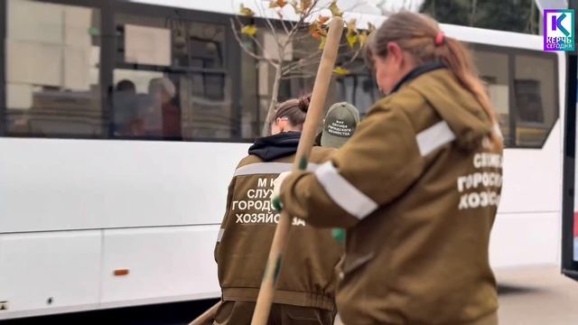 На улице Пирогова высадили платаны смотреть онлайн