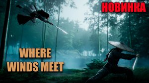 Where Winds Meet - играем на русском языке - часть 7