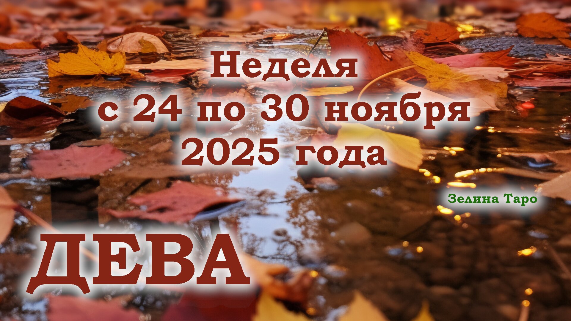 ДЕВА | ТАРО прогноз на неделю с 24 по 30 ноября 2025 года