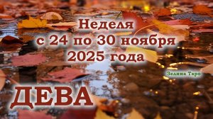 ДЕВА | ТАРО прогноз на неделю с 24 по 30 ноября 2025 года