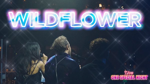 Wildflower (Billie Eilish) | ONE SPECIAL NIGHT