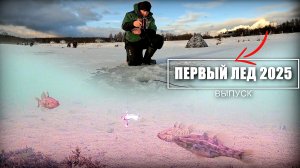 Первый лед 2025. Рыба кишит под лункой! Зимняя рыбалка на балансир. Подводная съемка.