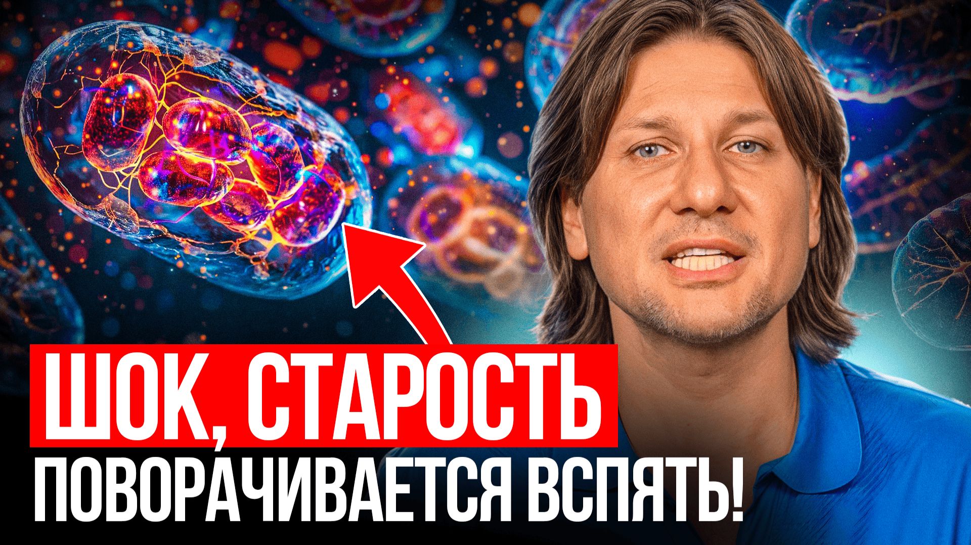 Как даже в 70 чувствовать себя на 20? Этого вам не рассказали в школе о митохондриях! смотреть онлайн