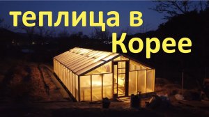 Деревянная теплица в Корее