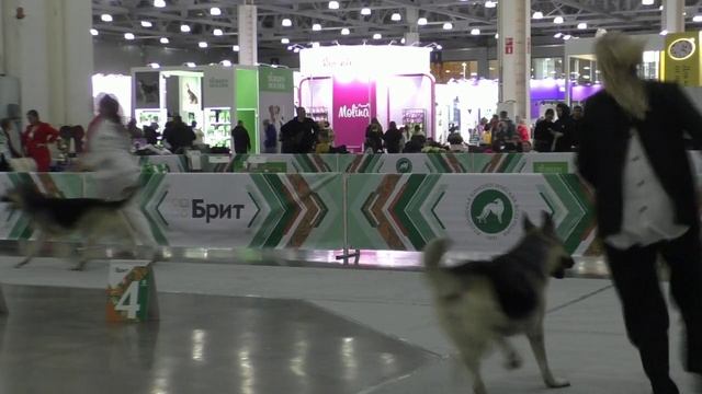 Сравнение промежуточного класса смотреть онлайн