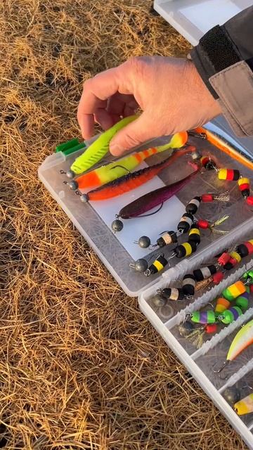 Рыбалка на дальнем пруду продолжается. Юрий отвечает на самые популярные вопросы. смотреть онлайн