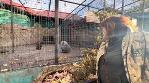 Басик тоже ВСТРЕЧАЕТ МАМУ, а мы решаем ЗАЙТИ В ГОСТИ К Люське