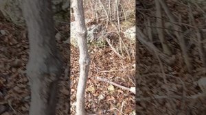 иду за водой