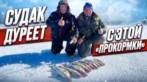 КАКИЕ ПРИМАНКИ НА СУДАКА ВЗЯТЬ НА ПЕРВЫЙ ЛЕД 2025-2026